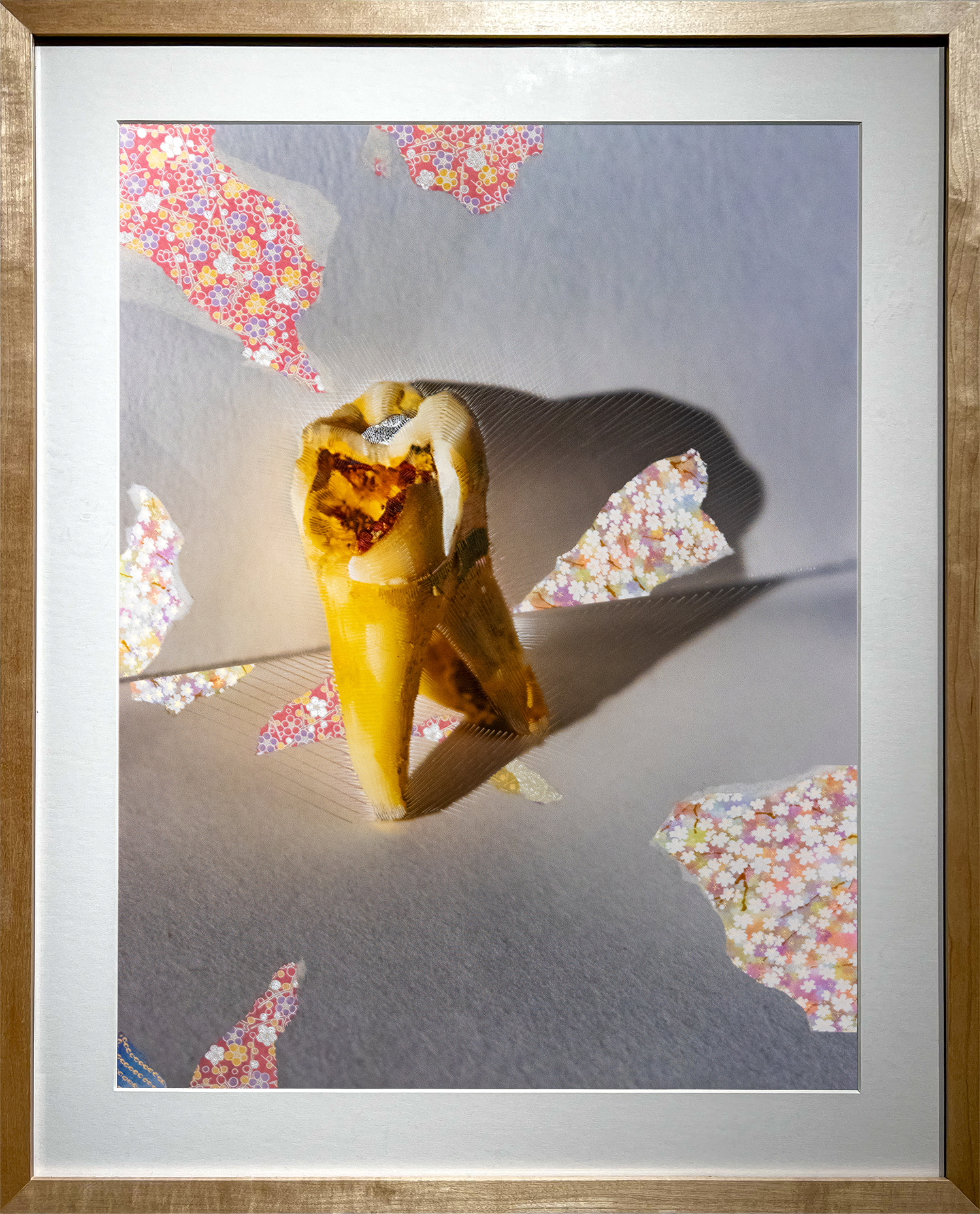 Rickert_Wisdom Tooth Framed copy